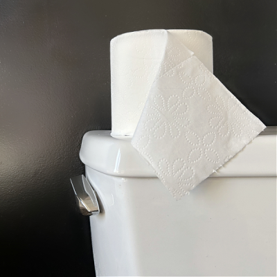 Roll of toilet paper on the back of a toilet