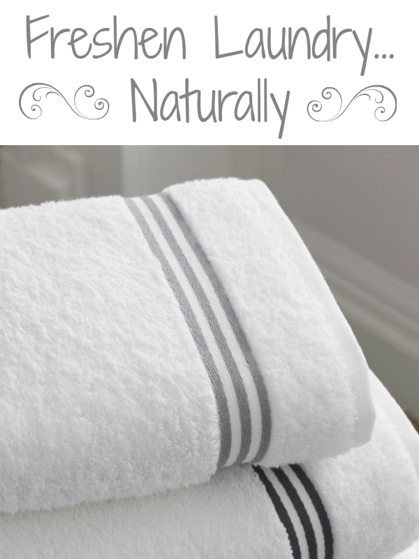 Freshen Laundry Naturally Lemons, Lavender, & Laundry