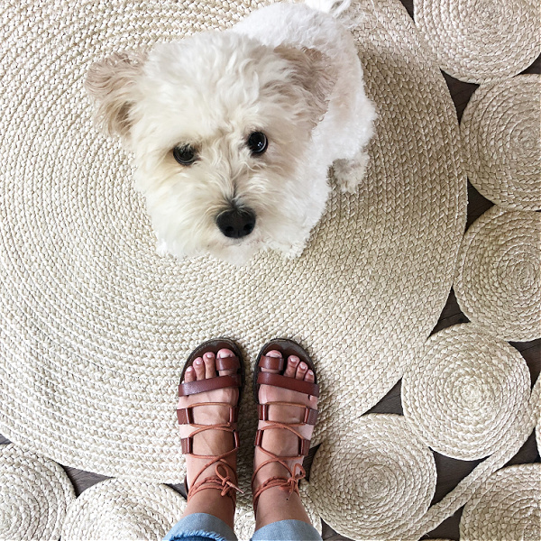 Jute Rug with White Dog