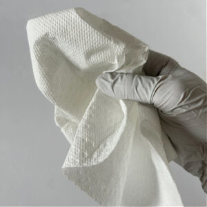 How to Clean and Disinfect and Norovirus: Paper Towel in gloved hand