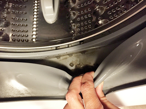 Cleaning the Rubber Seal on a Washing Machine