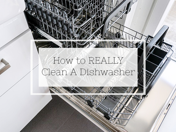 How to Clean a Dishwasher