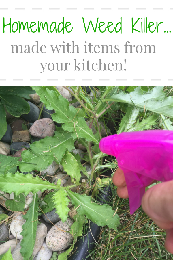 Simple, easy to make homemade weed killer using items from your kitchen