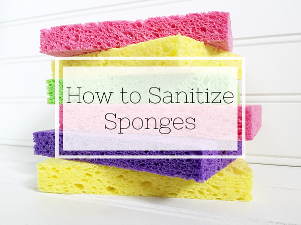 How to Clean and Sanitize a Sponge in the Microwave