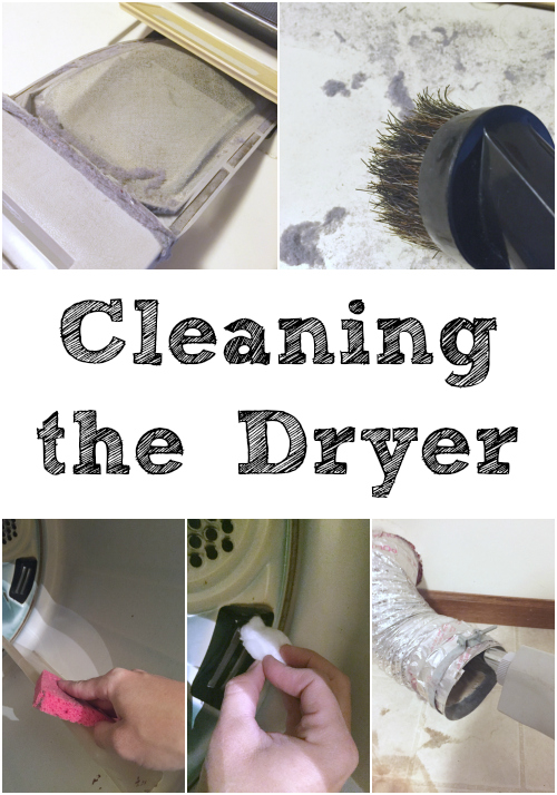 Cleaning Tip Tuesday Cleaning The Dryer Lemons, Lavender, & Laundry
