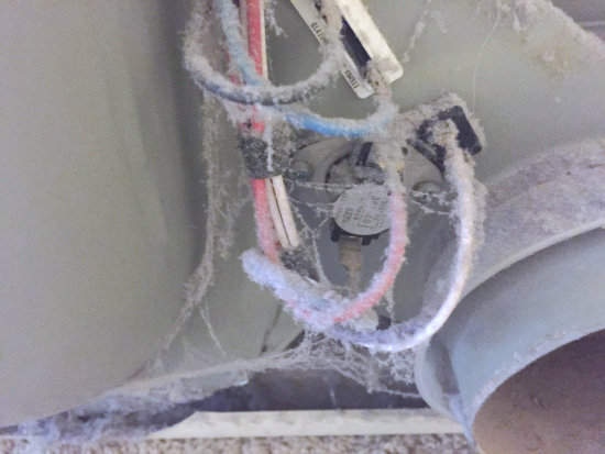 Dusty wiring under back panel of dryer