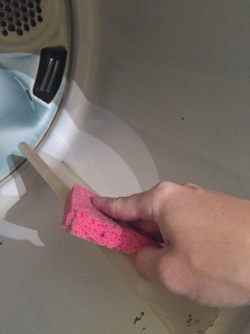 Cleaning dryer drum with warm soapy water and sponge.