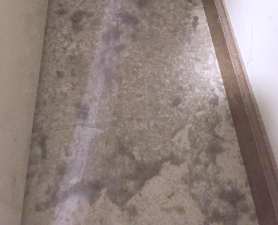 Laundry closet floor covered in lint