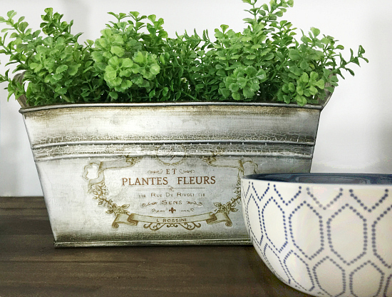 Small tin with faux plants and a small bowl for coins