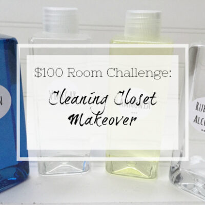 $100 Cleaning Closet Makeover