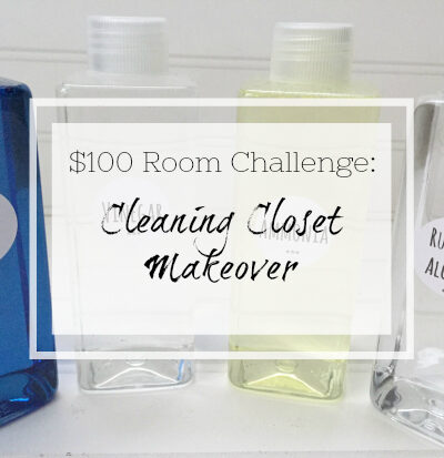 Cleaning Closet Makeover for $100