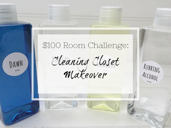 Cleaning Closet Makeover for $100