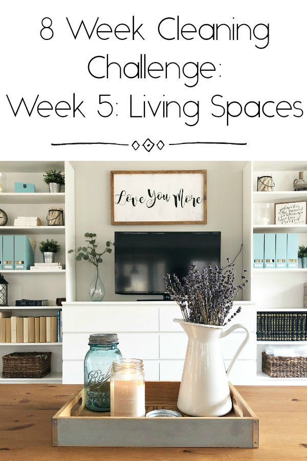 8 Week Cleaning Challenge- Week 5 Cleaning Living Spaces