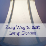 I'm not sure how I went so long without knowing this easy trick to getting dust off of the lamps shades.