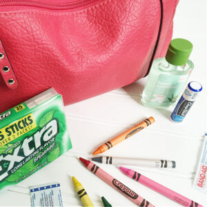 How to Organize Your Purse using pouches