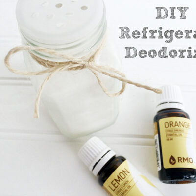 DIY Refrigerator Deodorizer