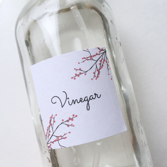 Vinegar in a spray bottle