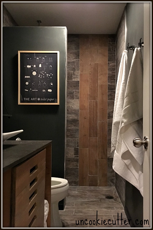 Dark moody bathroom makeover done for the One Room Challenge