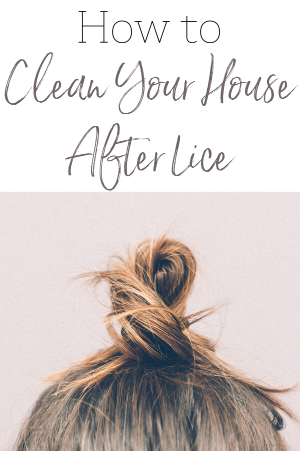 Hair in Bun: How to Clean Your House After Head Lice