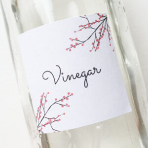 Vinegar in spray bottle