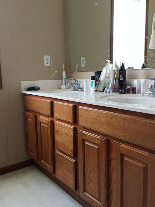 Master bathroom before its $100 room makeover