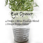 Eye Opener Spring Diffuser Blend with a combination of Citrus Passion Blend and Peppermint