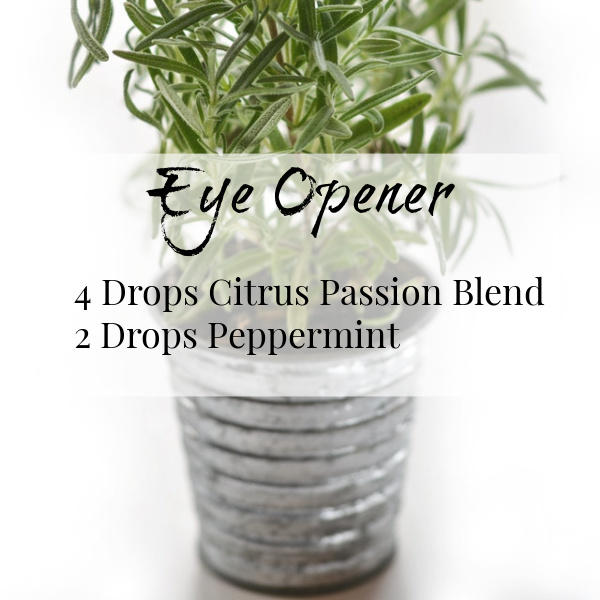 Eye Opener Spring Diffuser Blend with a combination of Citrus Passion Blend and Peppermint