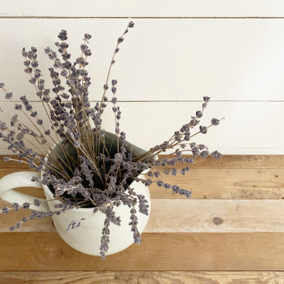 Dried lavender in vase on wood table