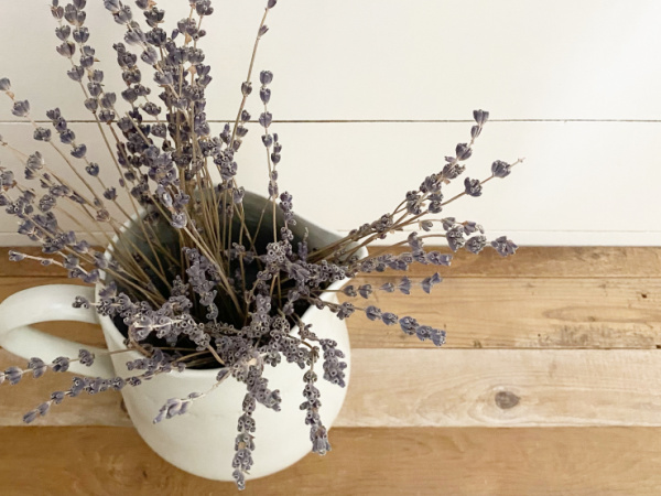 Dried lavender in vase on wood table