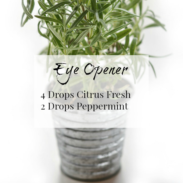 Eye Opener is a great diffuser blend to start your morning, with a combination of Citrus Fresh and Peppermint