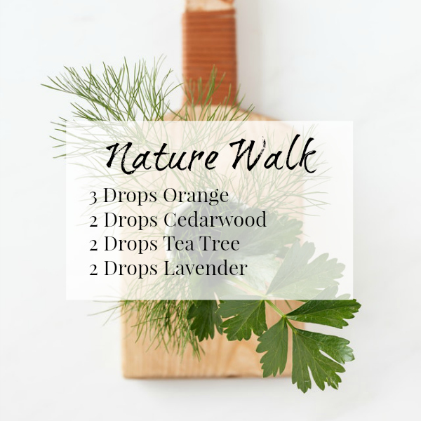 Nature Walk Diffuser Blend combines Orange, Cedarwood, Tea Tree, and Lavender