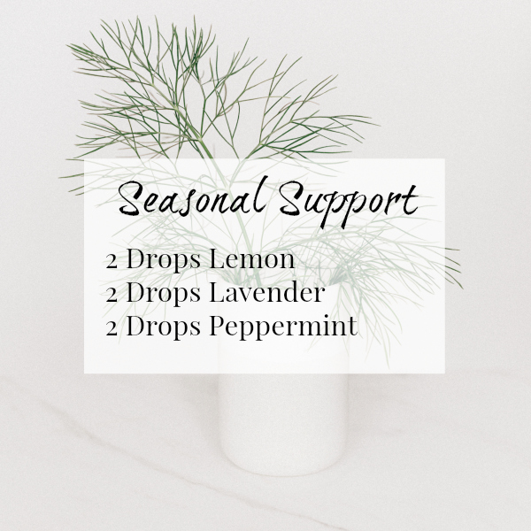 Seasonal Support Diffuser Blend combines Lemon, Lavender, and Peppermint