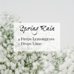 Spring Rain Diffuser Blend combines Lemongrass and Lime for a bright scent