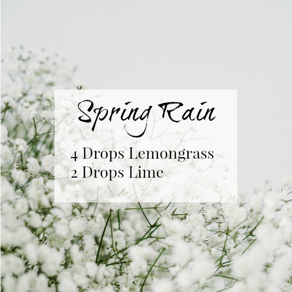 Spring Rain Diffuser Blend combines Lemongrass and Lime for a bright scent