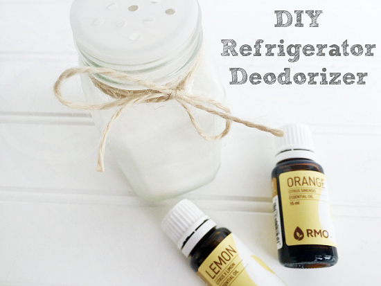 Easy DIY Refrigerator Deodorizer