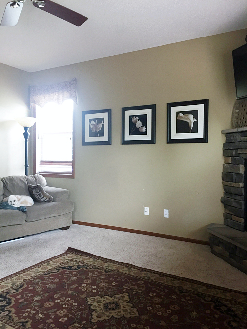 Sharing a few ideas on a budget-friendly living room makeover.