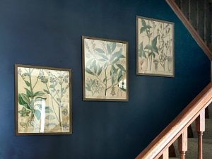Love this idea for cheap wall decor!