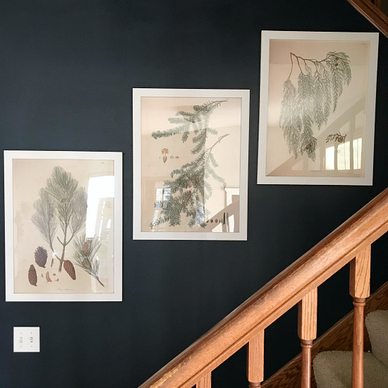 Decor Staples Frames Lemons, Lavender, & Laundry