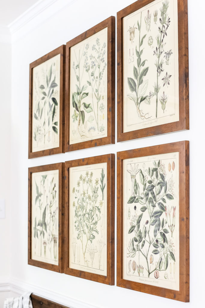 Gallery wall of framed spring botanical prints