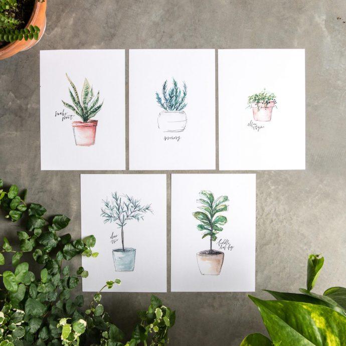 Free plant printables for spring