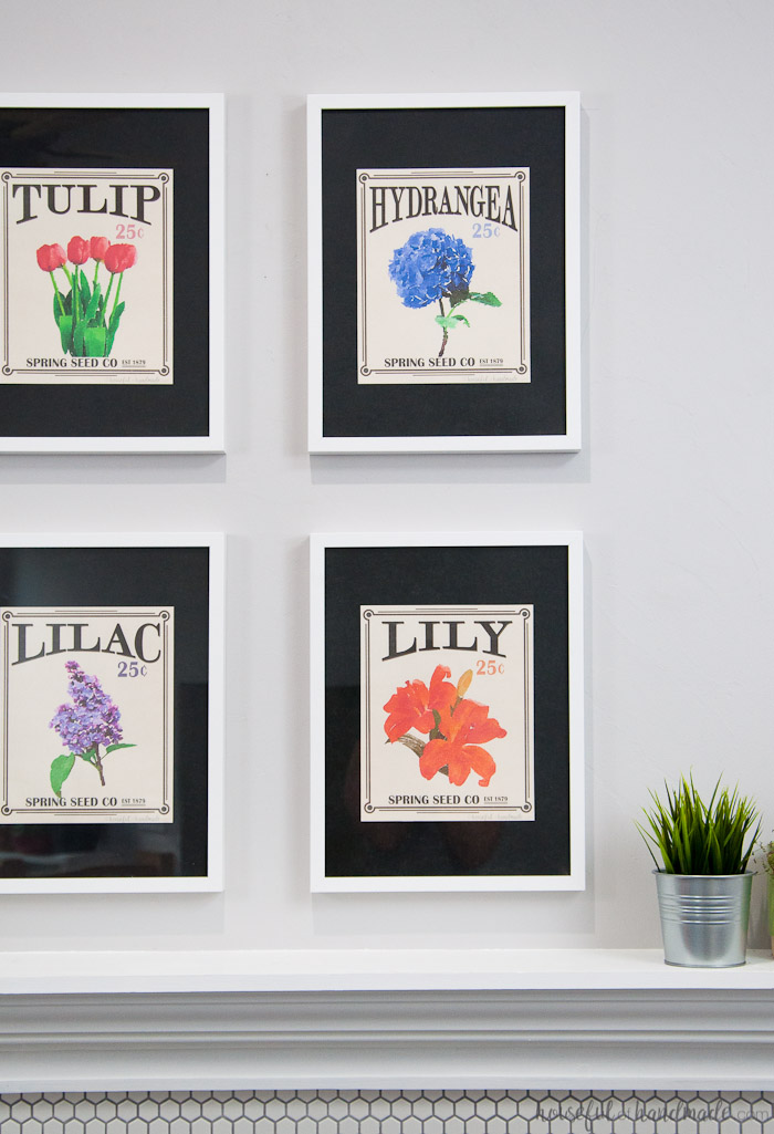 Seed pack printables framed and hung as a gallery wall