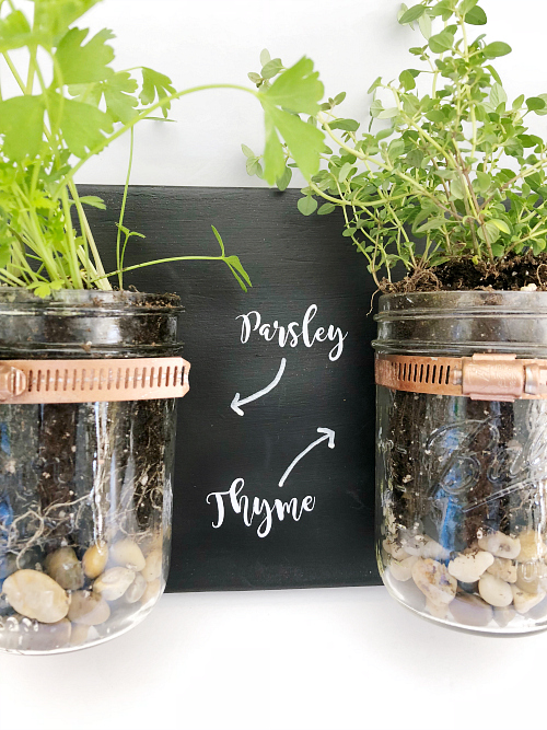 Close up of mason jar planter with labels