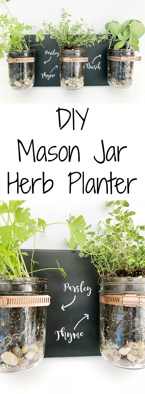 Love this DIY Mason Jar Planter! So cute!