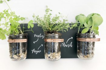 DIY Mason Jar Planter