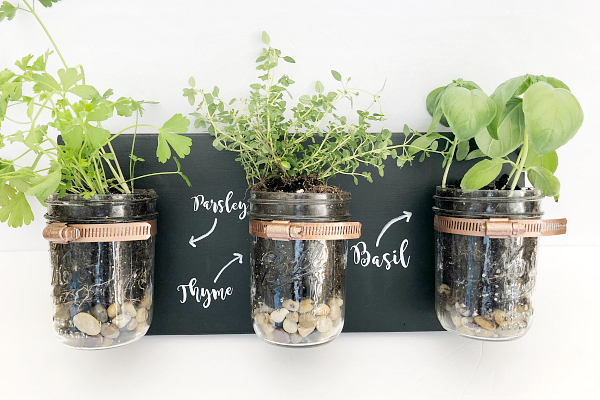 DIY Mason Jar Planter using mason jars, spray painted hose clamps and a piece of wood