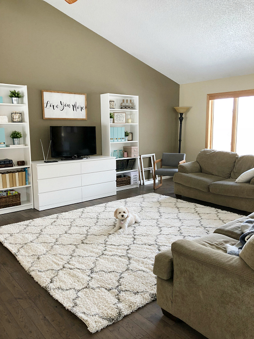 Shag rug in living room