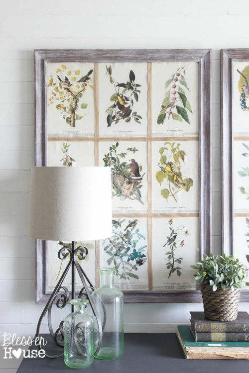 Botanical book pages in large wood frames