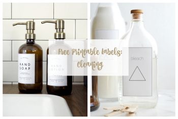 Free Cleaning Labels for Your Home