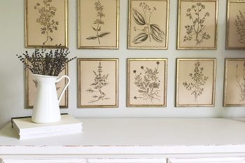 This gallery wall is absolutely gorgeous!!! I love the simple vintage vibes with the herb botanical prints, and would would have thought those frames were from the dollar store?! #botanicalprints #farmhousestyle #gallerywall #dollarstoredecor