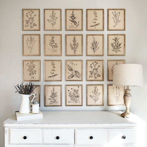 A farmhouse style gallery wall hung above a distressed dresser displaying black and white botanical prints on vintage paper